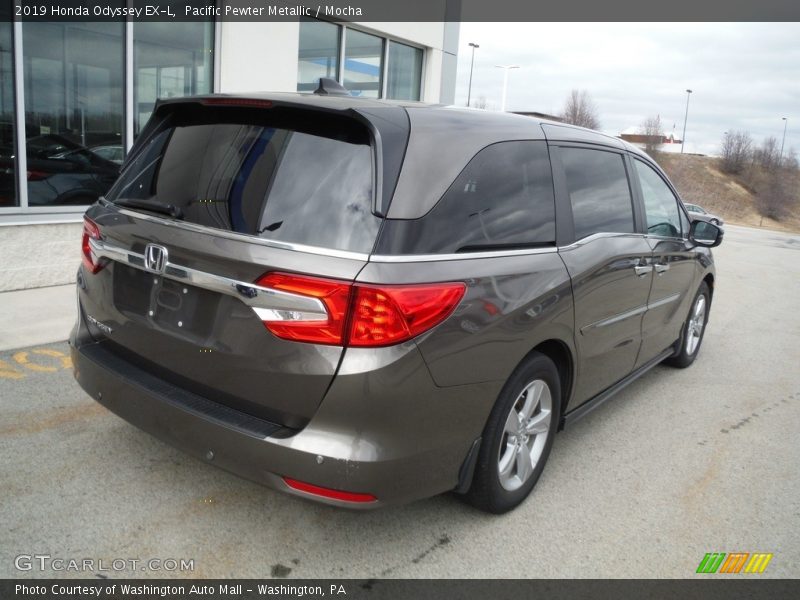 Pacific Pewter Metallic / Mocha 2019 Honda Odyssey EX-L