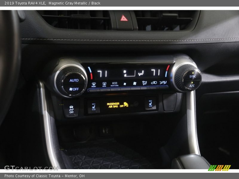 Magnetic Gray Metallic / Black 2019 Toyota RAV4 XLE