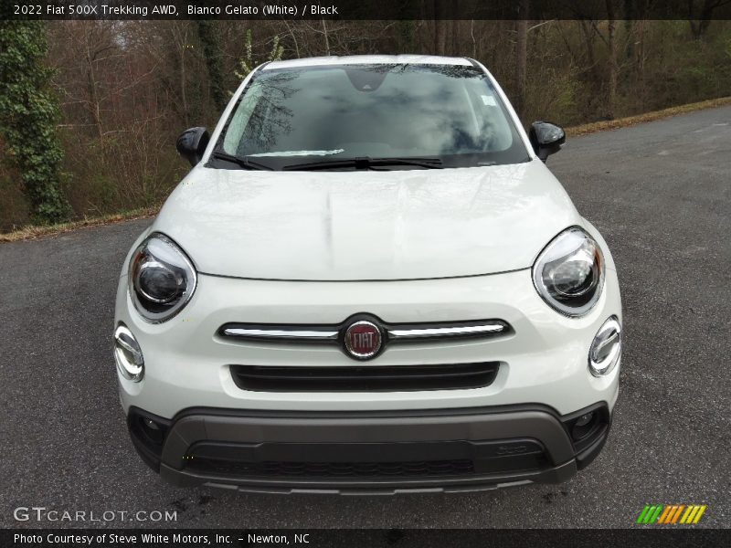 Bianco Gelato (White) / Black 2022 Fiat 500X Trekking AWD