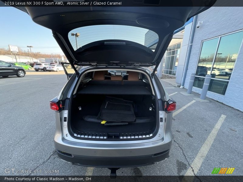 Atomic Silver / Glazed Caramel 2019 Lexus NX 300 F Sport AWD