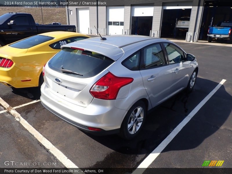 Ingot Silver / Charcoal Black 2014 Ford Focus SE Hatchback