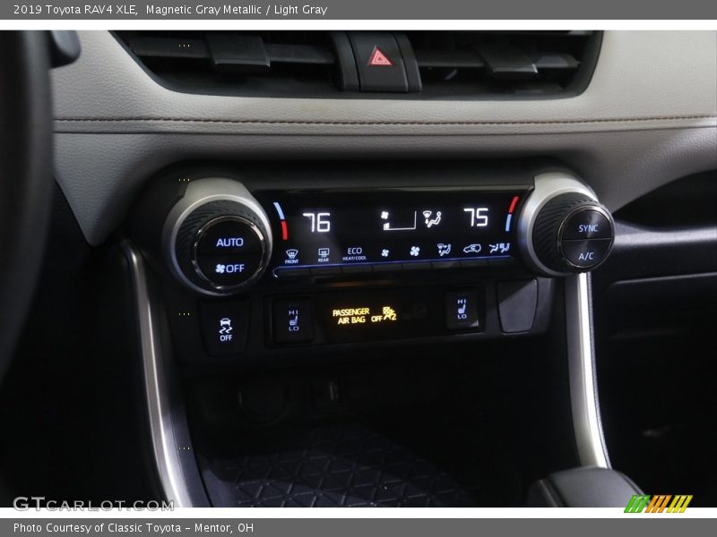 Magnetic Gray Metallic / Light Gray 2019 Toyota RAV4 XLE