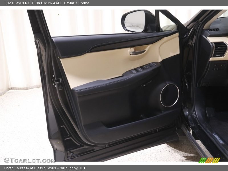 Door Panel of 2021 NX 300h Luxury AWD