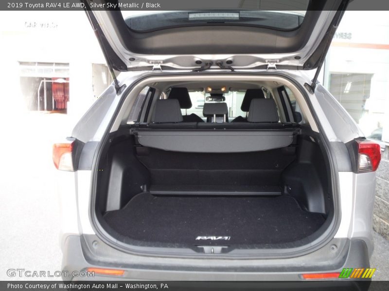 Silver Sky Metallic / Black 2019 Toyota RAV4 LE AWD