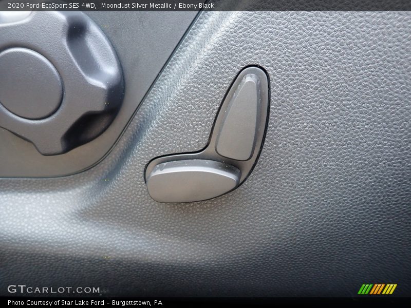 Moondust Silver Metallic / Ebony Black 2020 Ford EcoSport SES 4WD