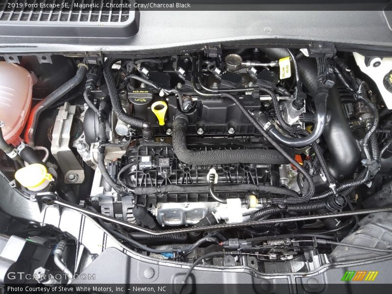 Magnetic / Chromite Gray/Charcoal Black 2019 Ford Escape SE