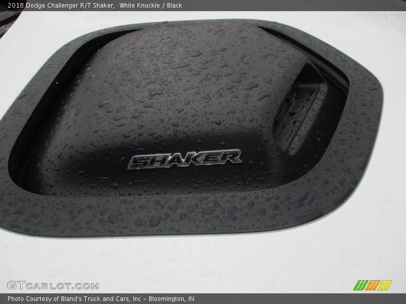 Dodge Challenger SHAKER Hood - 2018 Dodge Challenger R/T Shaker