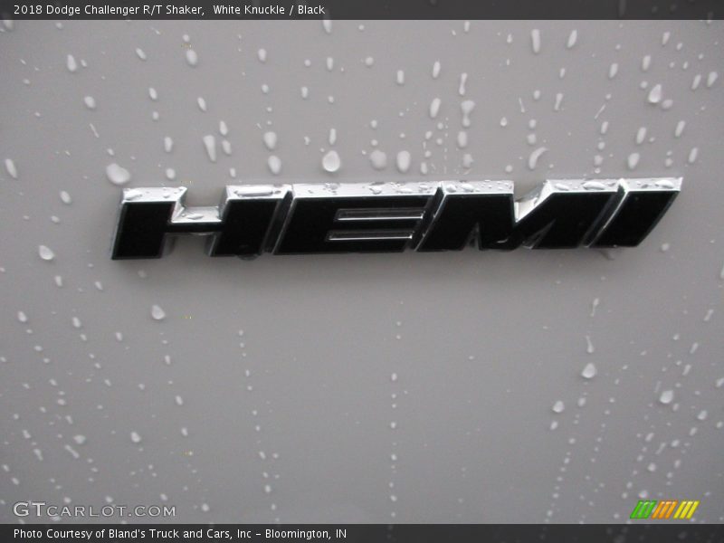 White Knuckle / Black 2018 Dodge Challenger R/T Shaker