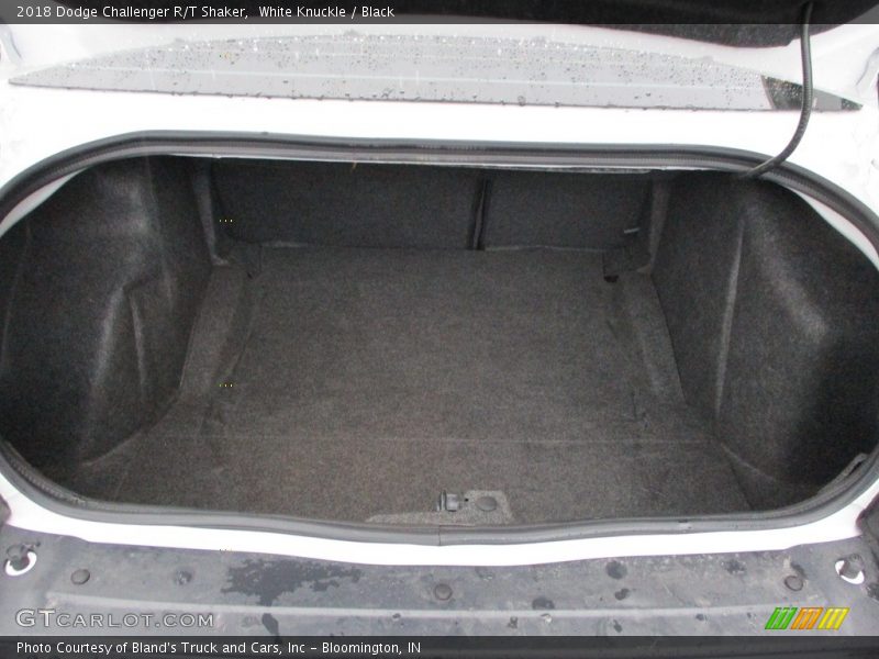 White Knuckle / Black 2018 Dodge Challenger R/T Shaker