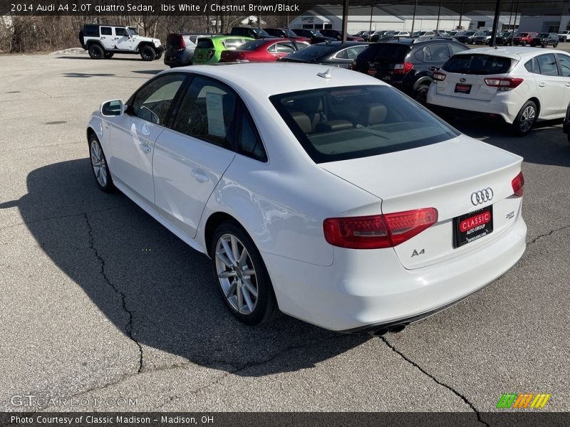 Ibis White / Chestnut Brown/Black 2014 Audi A4 2.0T quattro Sedan