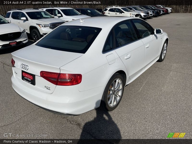 Ibis White / Chestnut Brown/Black 2014 Audi A4 2.0T quattro Sedan
