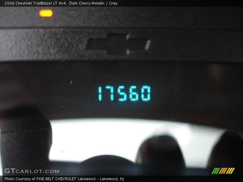 Dark Cherry Metallic / Gray 2009 Chevrolet TrailBlazer LT 4x4
