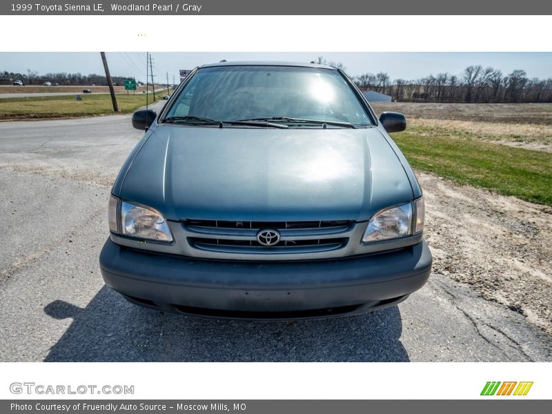 Woodland Pearl / Gray 1999 Toyota Sienna LE