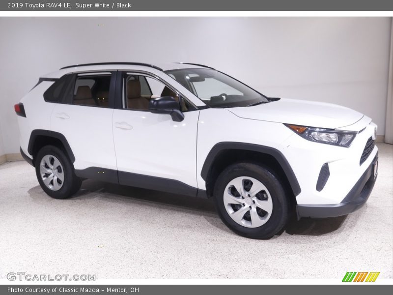 Super White / Black 2019 Toyota RAV4 LE