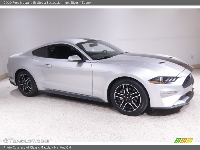 Ingot Silver / Ebony 2019 Ford Mustang EcoBoost Fastback