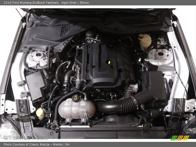  2019 Mustang EcoBoost Fastback Engine - 2.3 Liter Turbocharged DOHC 16-Valve EcoBoost 4 Cylinder