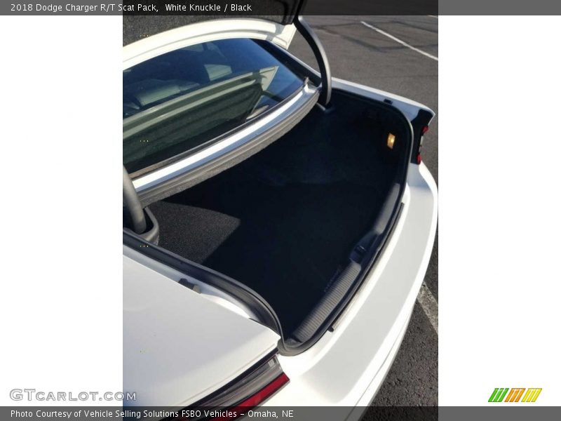 White Knuckle / Black 2018 Dodge Charger R/T Scat Pack