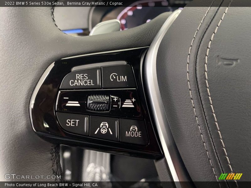  2022 5 Series 530e Sedan Steering Wheel