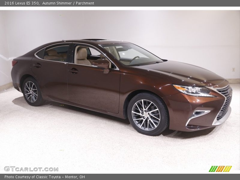  2016 ES 350 Autumn Shimmer