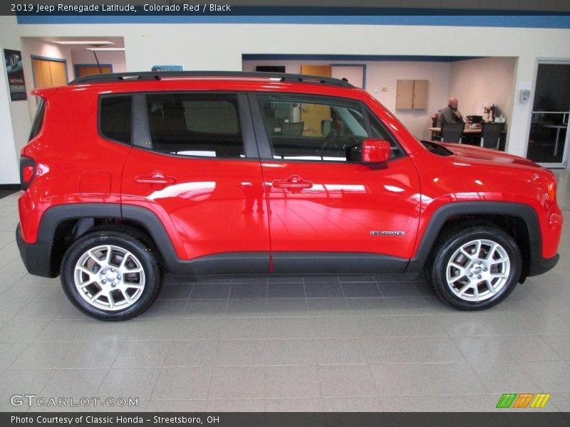 Colorado Red / Black 2019 Jeep Renegade Latitude