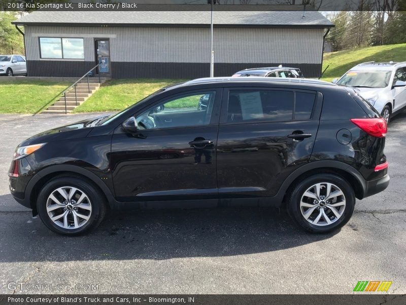 Black Cherry / Black 2016 Kia Sportage LX