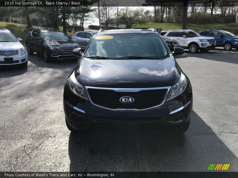 Black Cherry / Black 2016 Kia Sportage LX