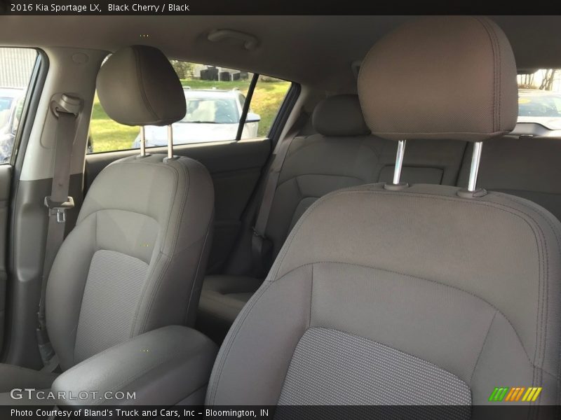 Black Cherry / Black 2016 Kia Sportage LX