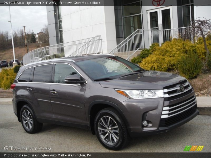 Predawn Gray Mica / Black 2019 Toyota Highlander XLE AWD