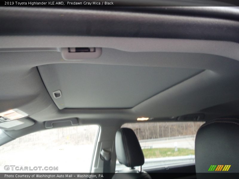 Predawn Gray Mica / Black 2019 Toyota Highlander XLE AWD