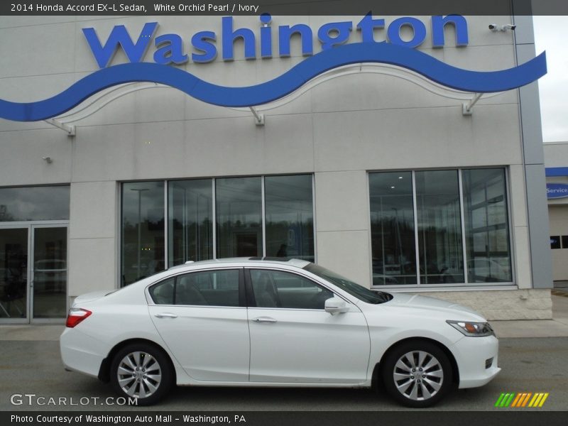 White Orchid Pearl / Ivory 2014 Honda Accord EX-L Sedan