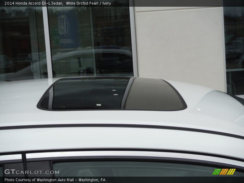 White Orchid Pearl / Ivory 2014 Honda Accord EX-L Sedan