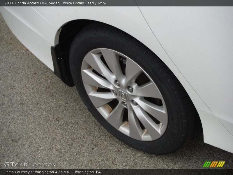 White Orchid Pearl / Ivory 2014 Honda Accord EX-L Sedan