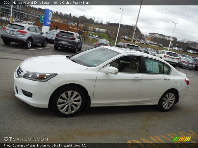White Orchid Pearl / Ivory 2014 Honda Accord EX-L Sedan