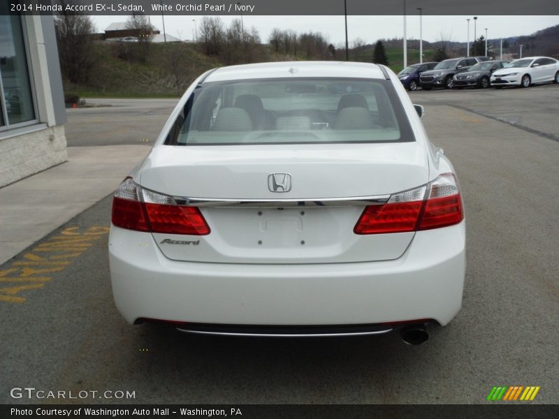 White Orchid Pearl / Ivory 2014 Honda Accord EX-L Sedan