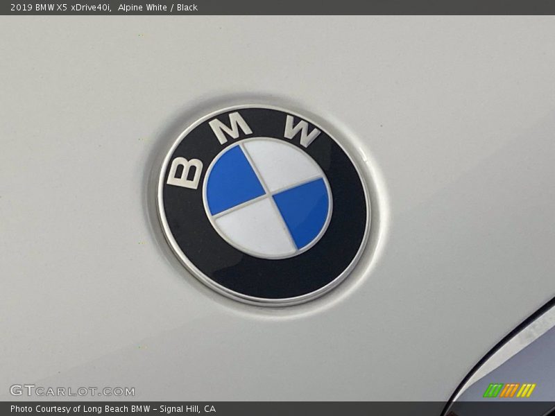 Alpine White / Black 2019 BMW X5 xDrive40i