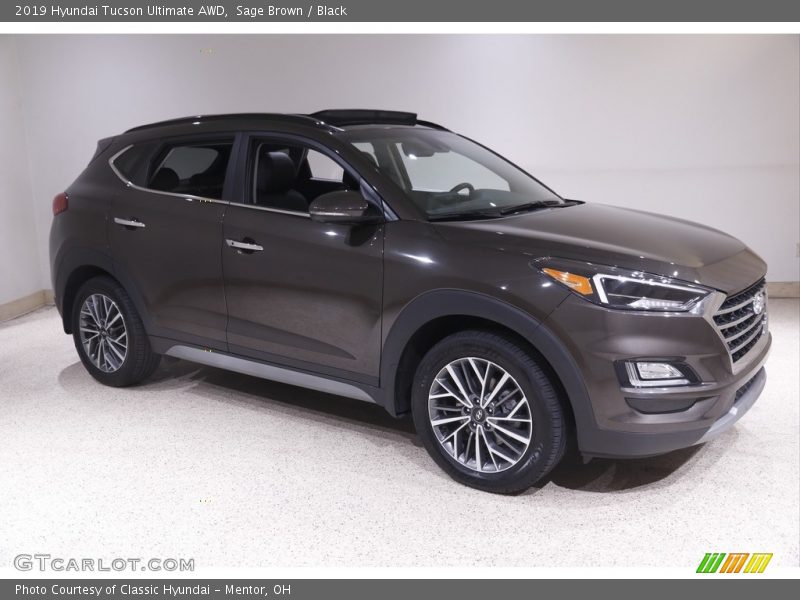 Sage Brown / Black 2019 Hyundai Tucson Ultimate AWD