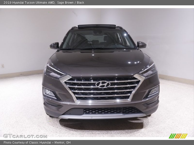 Sage Brown / Black 2019 Hyundai Tucson Ultimate AWD