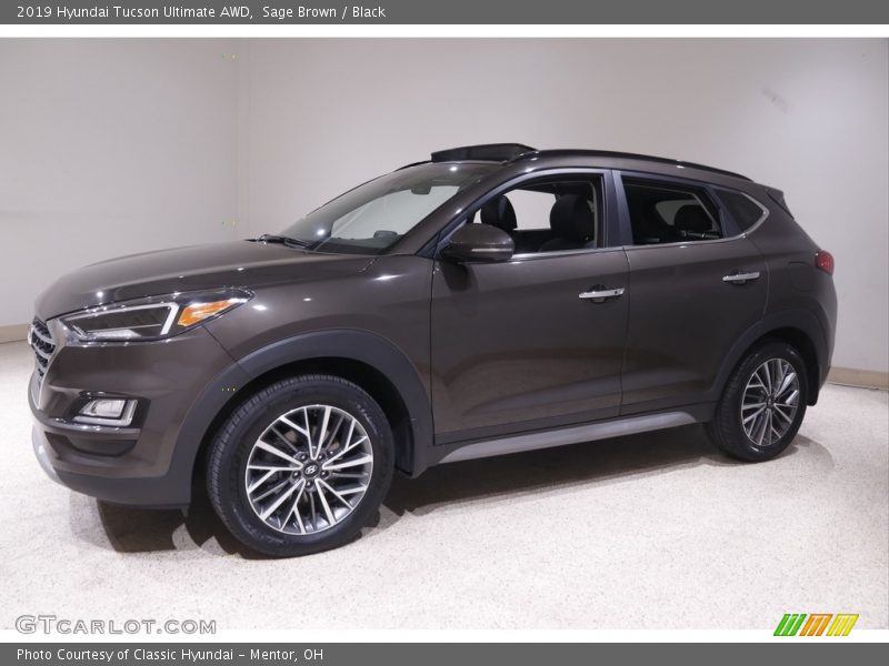 Sage Brown / Black 2019 Hyundai Tucson Ultimate AWD
