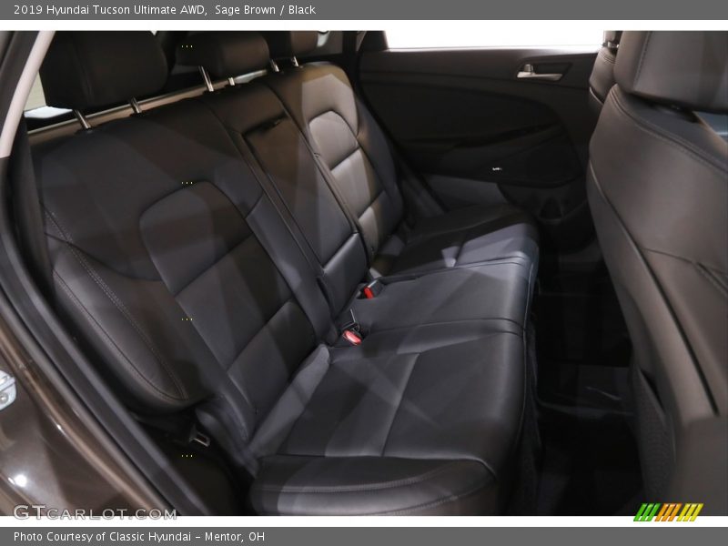 Sage Brown / Black 2019 Hyundai Tucson Ultimate AWD