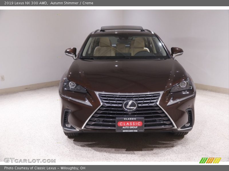 Autumn Shimmer / Creme 2019 Lexus NX 300 AWD
