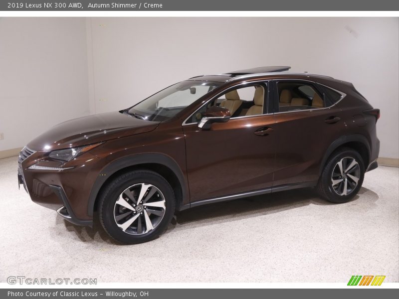  2019 NX 300 AWD Autumn Shimmer