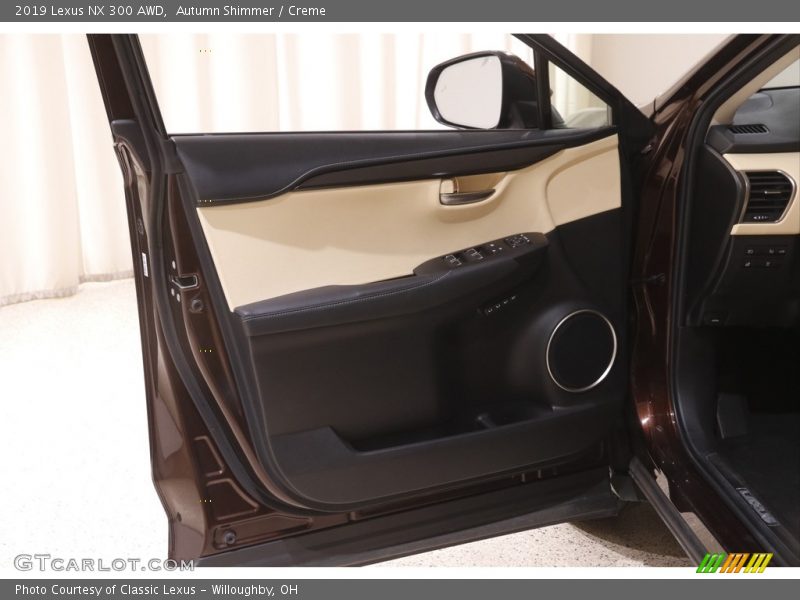 Door Panel of 2019 NX 300 AWD