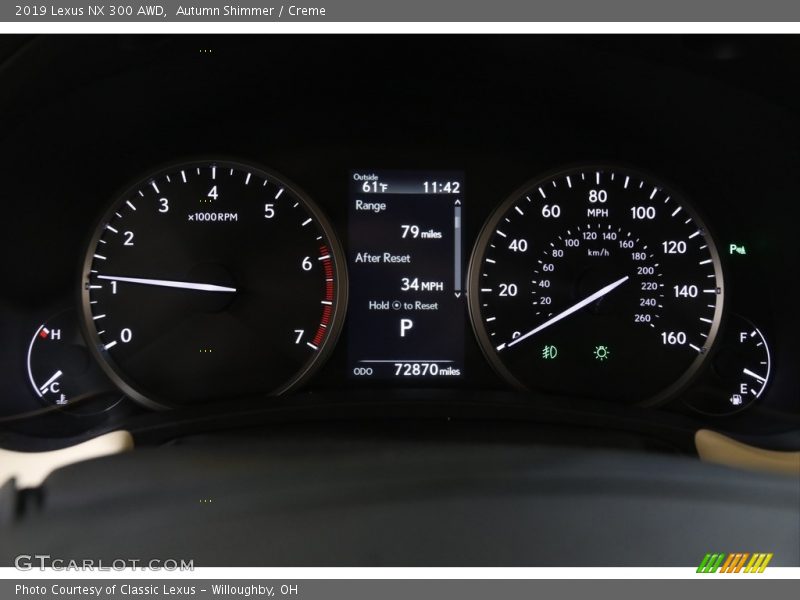  2019 NX 300 AWD 300 AWD Gauges