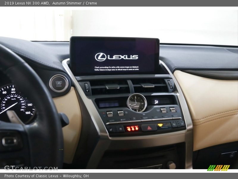 Autumn Shimmer / Creme 2019 Lexus NX 300 AWD