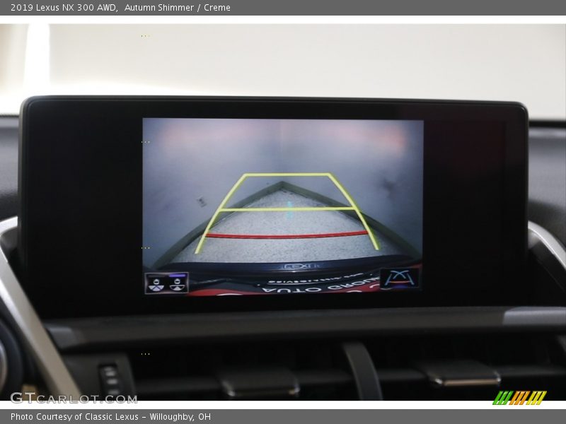 Autumn Shimmer / Creme 2019 Lexus NX 300 AWD