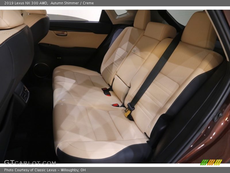 Rear Seat of 2019 NX 300 AWD