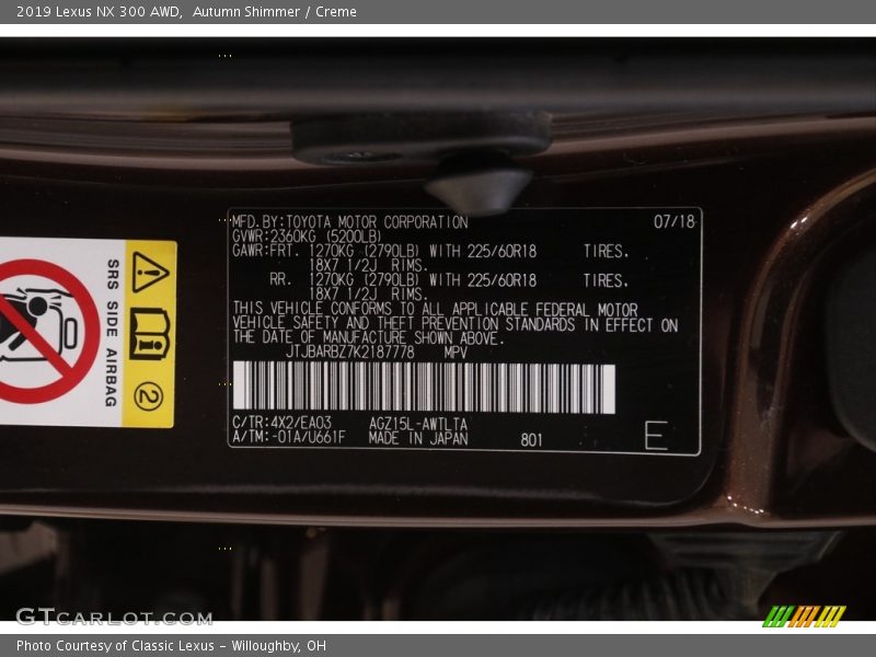 2019 NX 300 AWD Autumn Shimmer Color Code 4X2