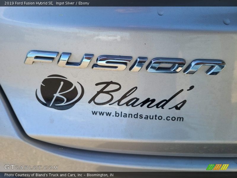 Ingot Silver / Ebony 2019 Ford Fusion Hybrid SE