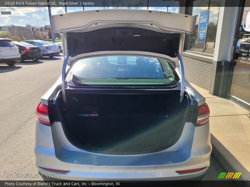 Ingot Silver / Ebony 2019 Ford Fusion Hybrid SE