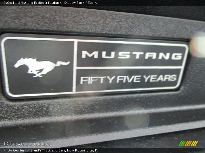 Shadow Black / Ebony 2020 Ford Mustang EcoBoost Fastback
